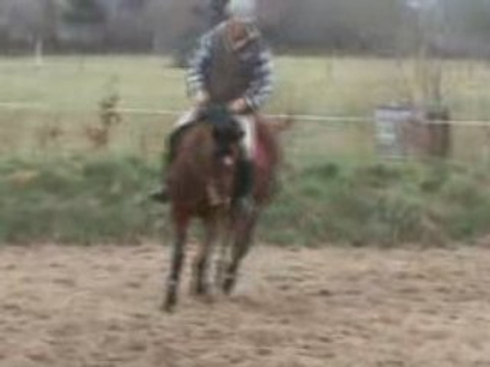 Le trot