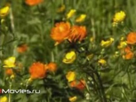 Часовня Сергия. Фильм 3. Учитель учителей