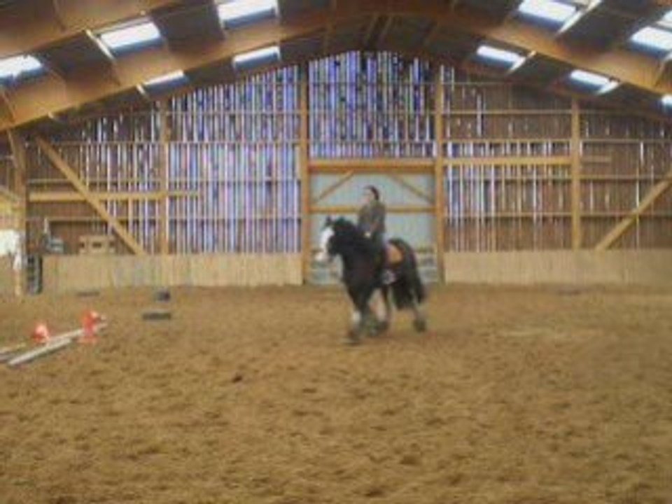Entrainement dressage mars 2009