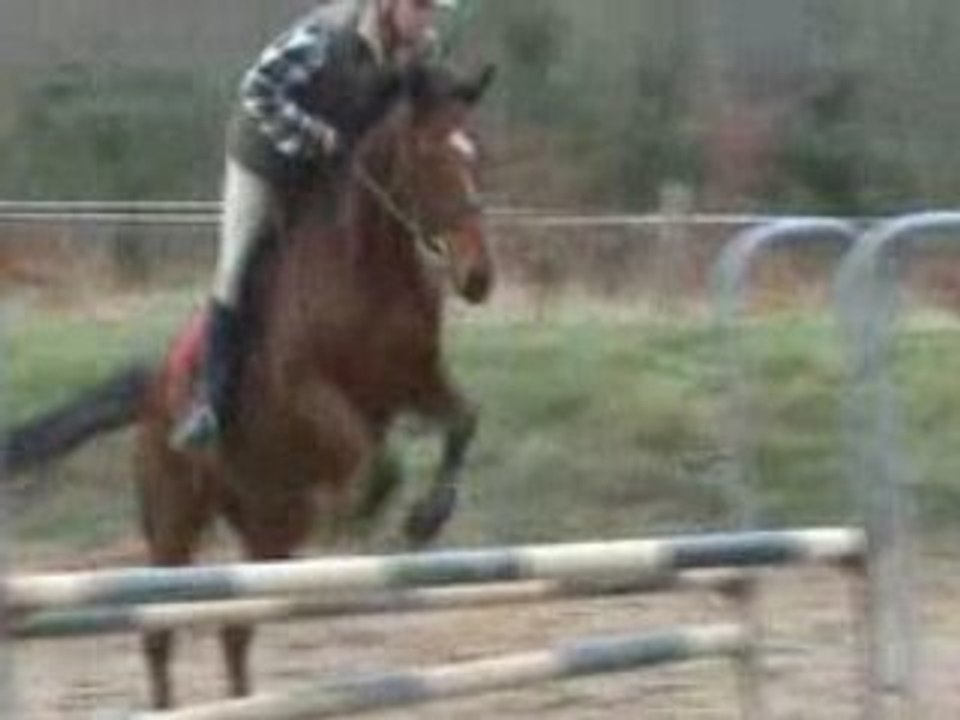 Vertical - oxer