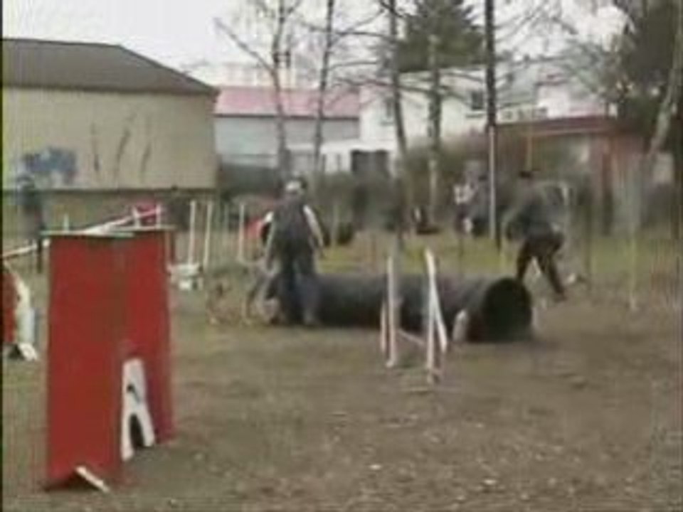 Dune en Agility