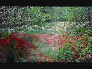 Palestine mon beau Pays