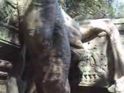 Cambodge Siem Reap Angkor 2009