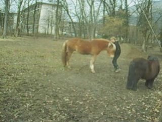 04-03-09 savanne je t'aiime