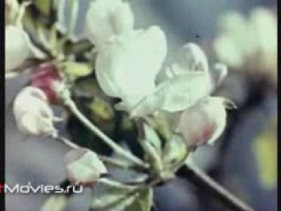 Хочу все знать №269