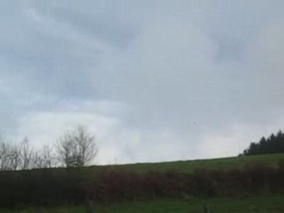 Video cerf