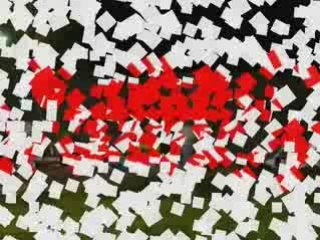 7º fecha. 1º y 2º serie speedweros