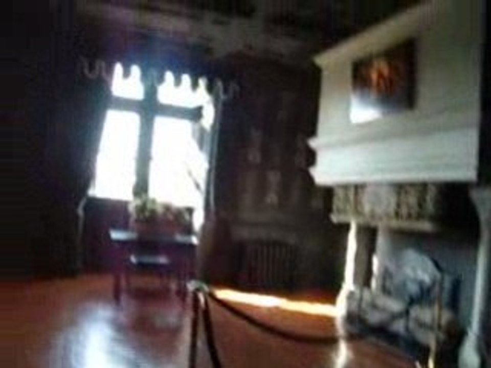 Chateau de Chenonceau 282