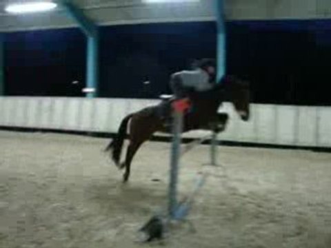 Oregon saut d'obstacle environ 1m10