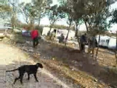 Ravagés devant les caissons.