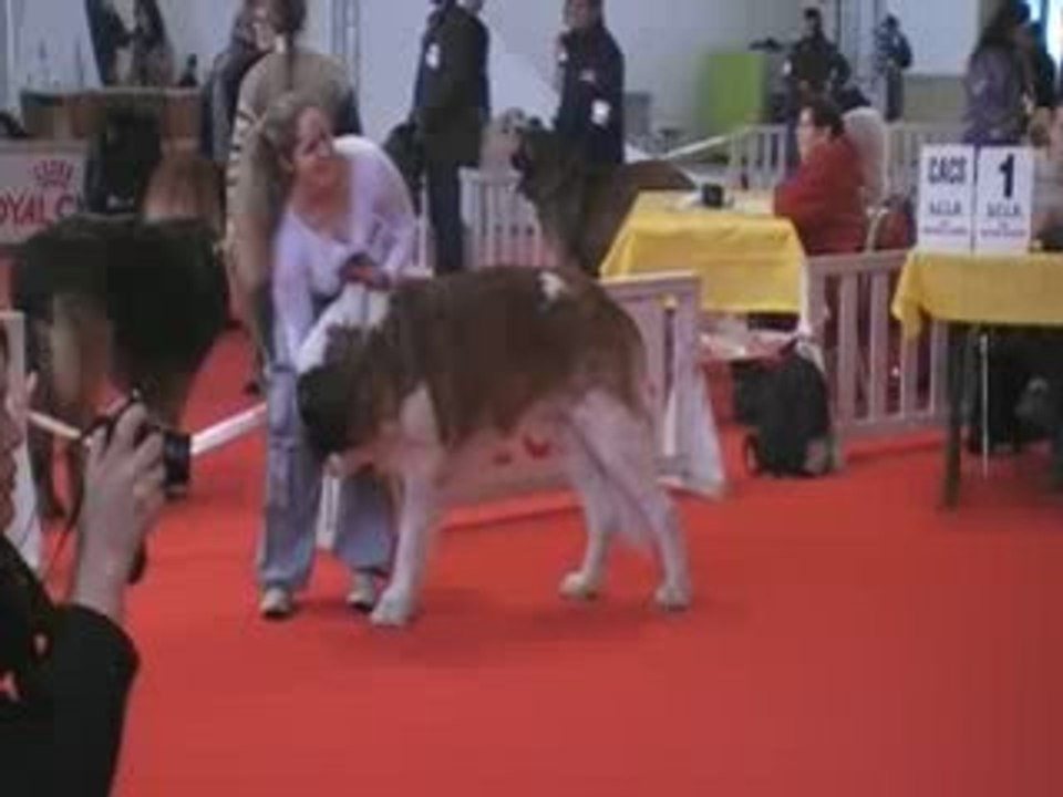 Expo montpellier 22