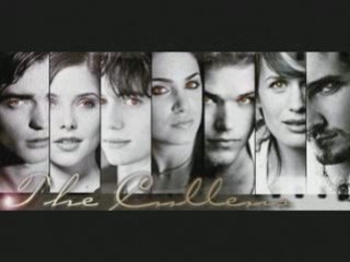 Présentation Cullen Roux