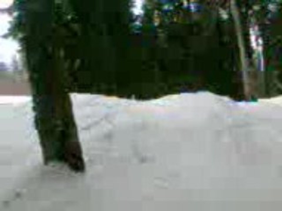 Vidéo003