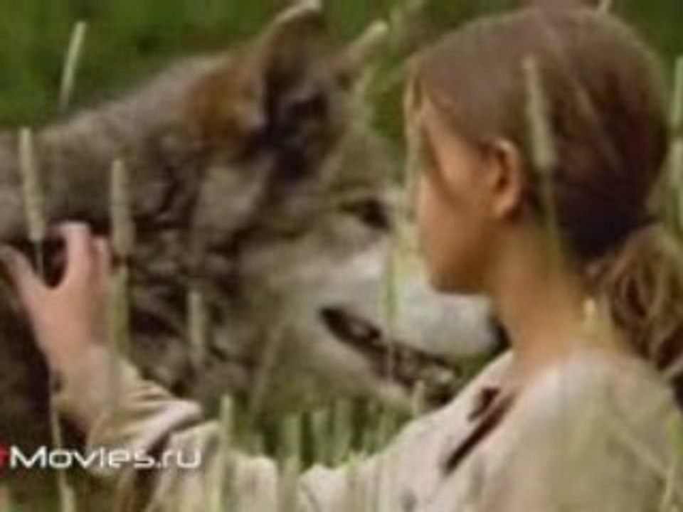 Волчье лето (Ulvesommer/Wolf Summer)