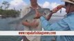 Mark Berg Catches Blue Salmon With Rapala Fishing Tackle