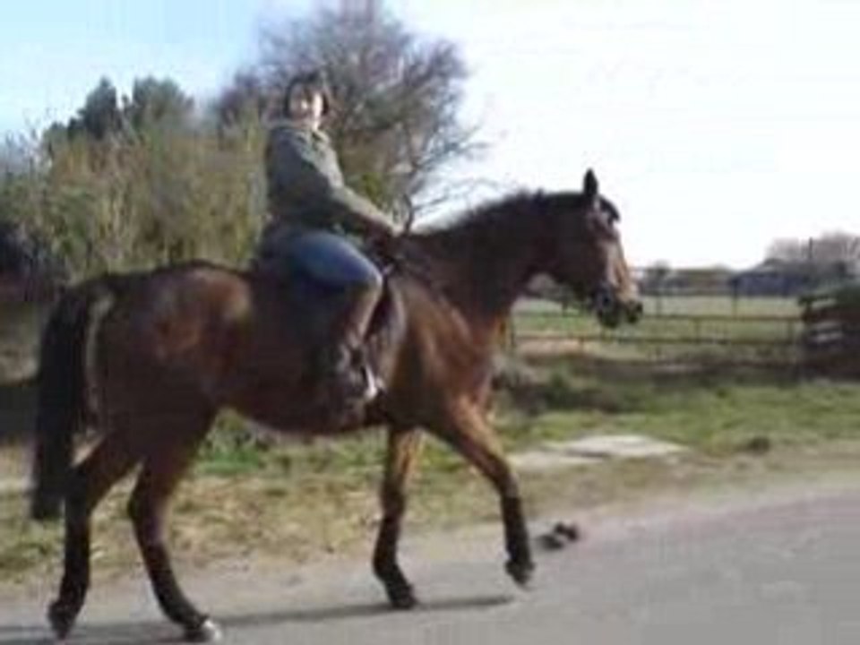 Moii mes ch3vo et mes copines 159