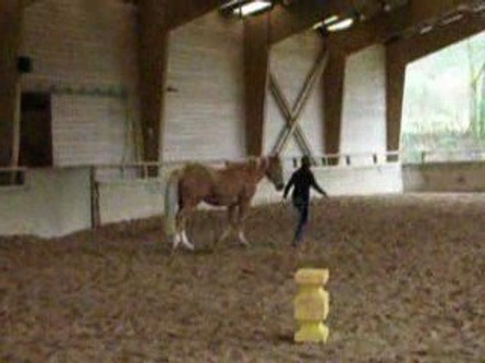 Travail avec andy (lib, cordelette)