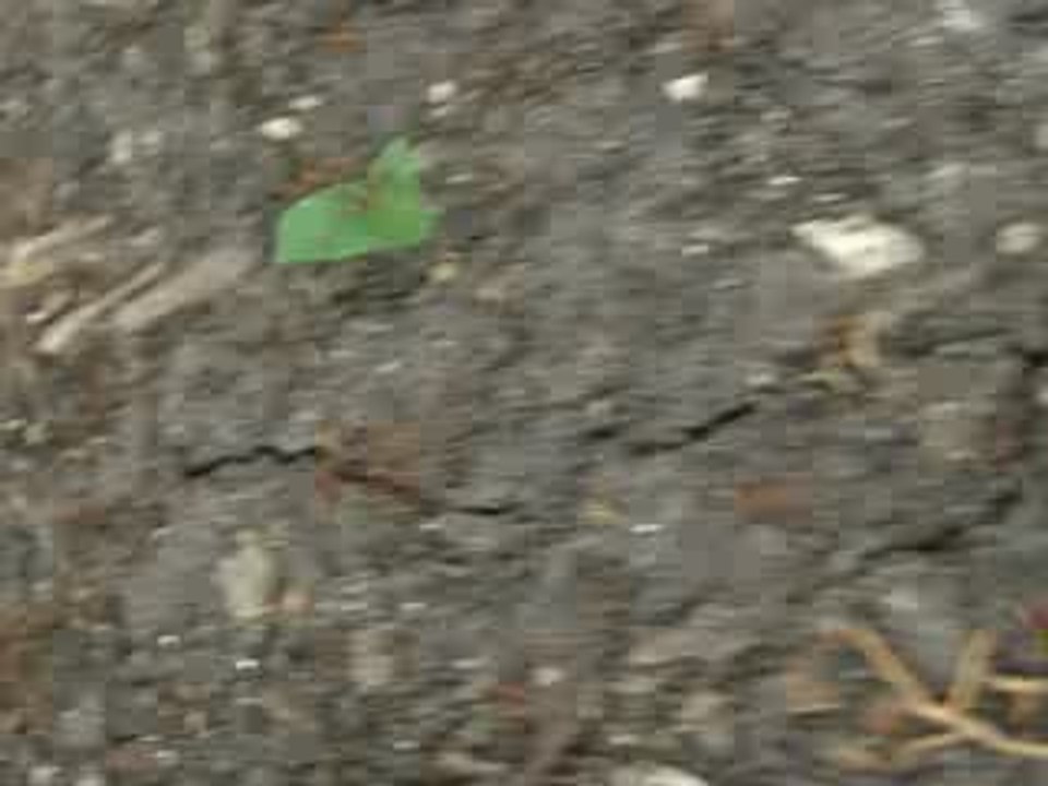 20090226_225748_.P2262146