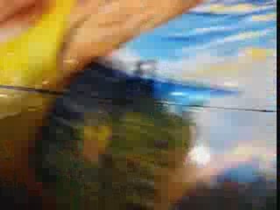 Presentation du blog du Fliper