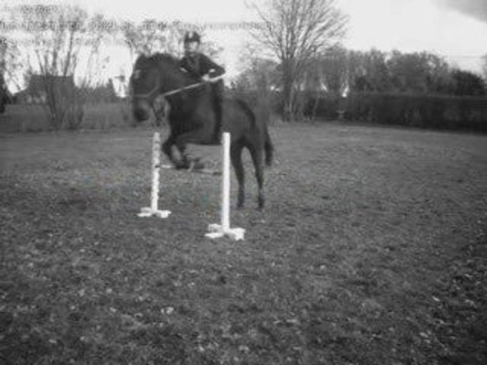 Saut en licol et à cru