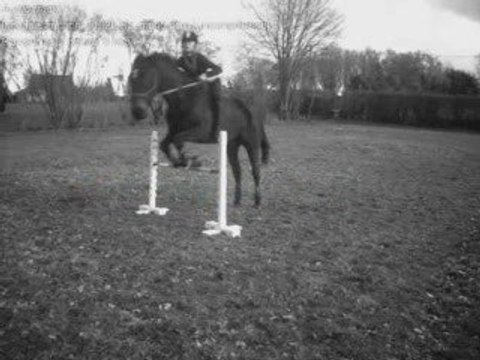 Saut en licol et à cru