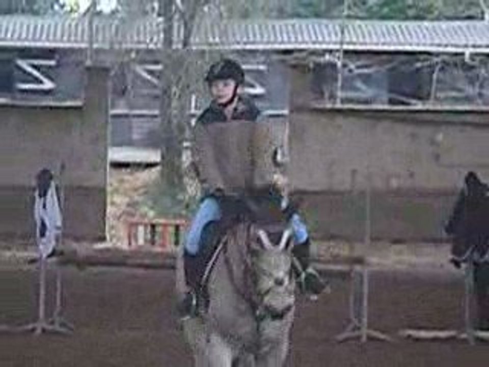 2008_0728dcodsugbkd0020