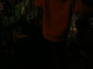 maximilien sixtine 01 03 09