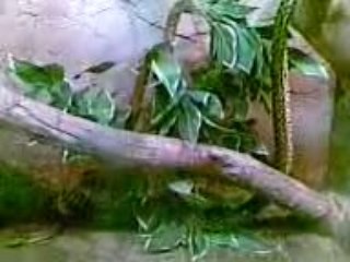 İzmir sasalı doğal parkı