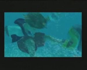 What have you done dream