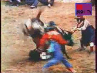 le zapping de Jean Guy Menagère