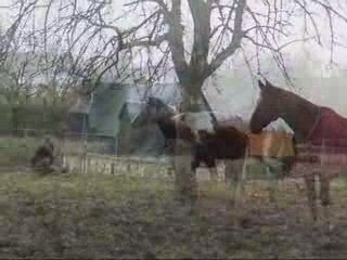 Fevrier26 2009 petit jeu avec indiana