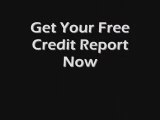 Free Credit  Report Commercial   100% Free Credit Report