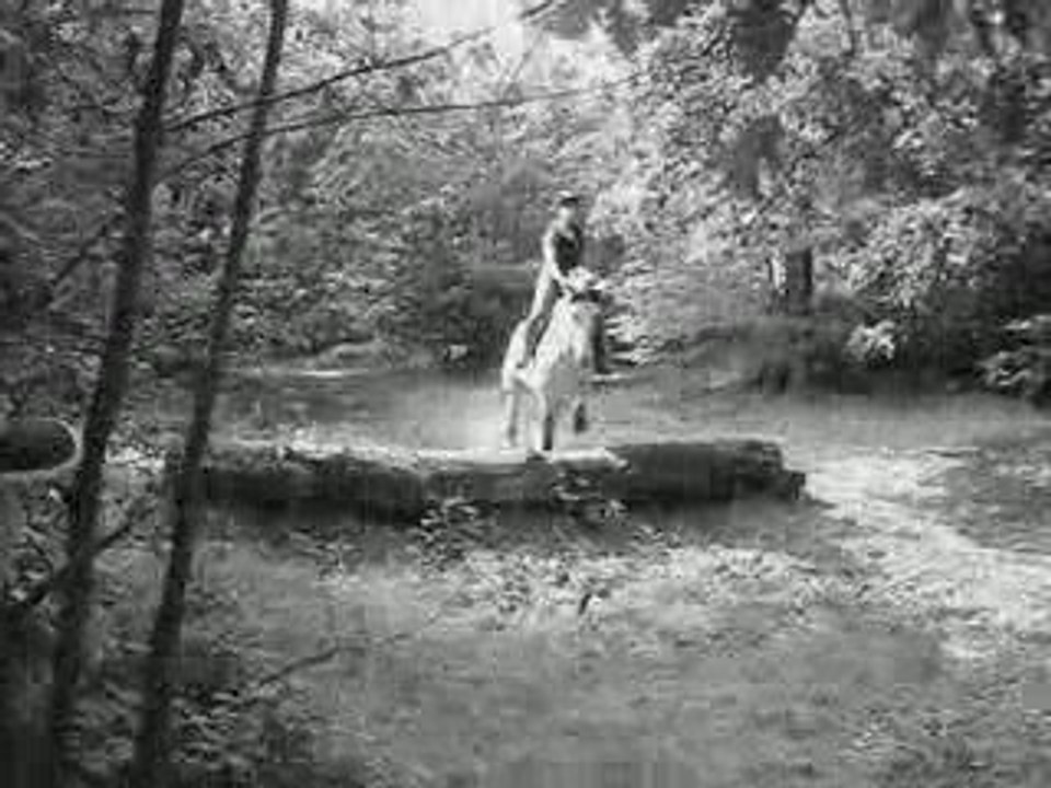 ecurie de la zinsel equitation