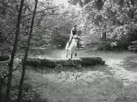 ecurie de la zinsel equitation