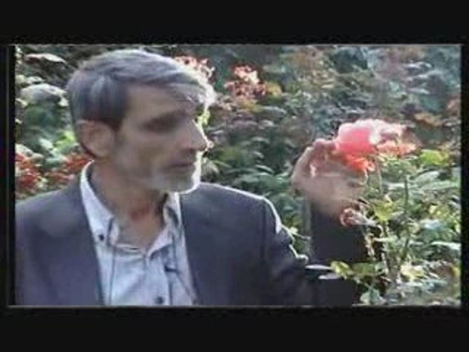 Bir Aşk-ı İnce