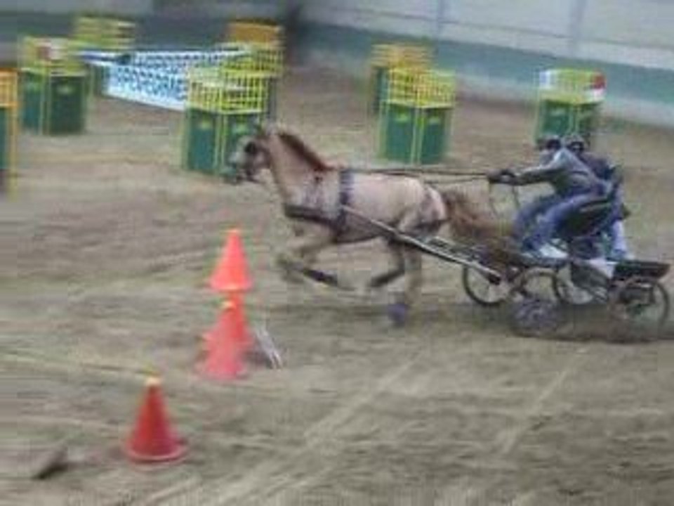 Flemalle Gilles 2