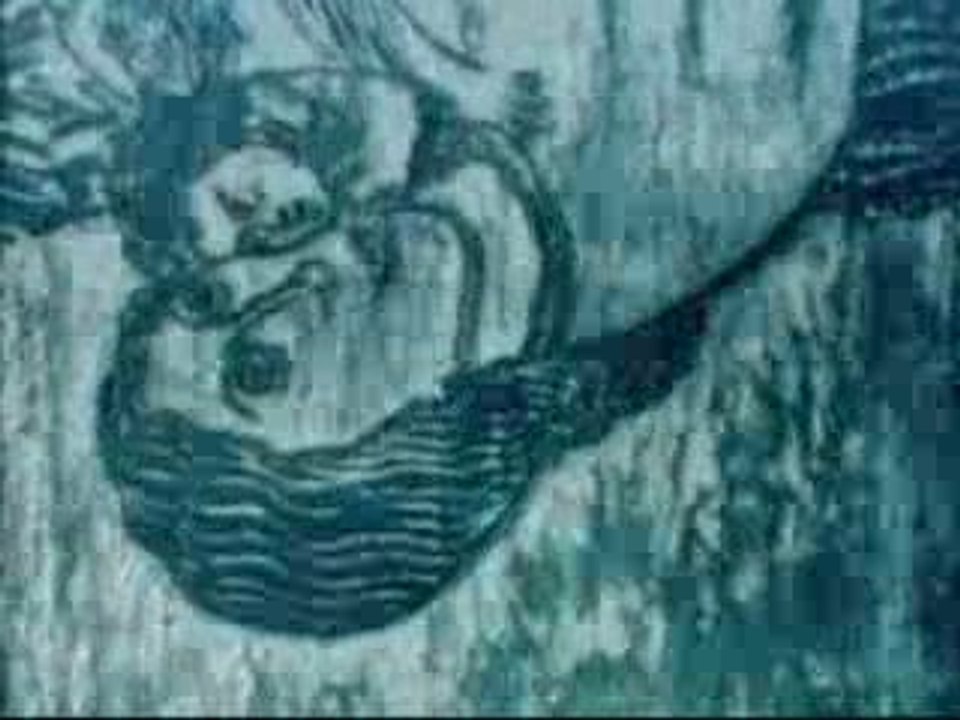 the ring