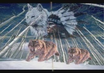 Les indiens d'amérique1