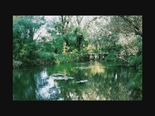 LUMINITA SOARE: " Weus'd A Herz Hast Wi A Bergwerk"-