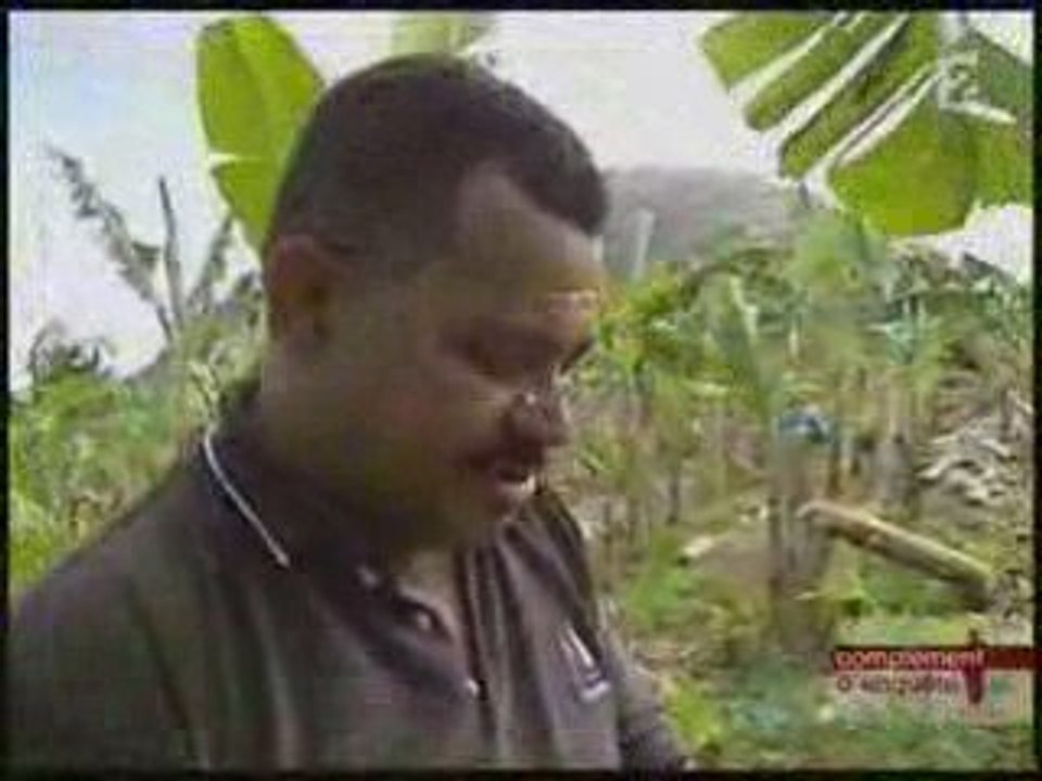 Qui-a-empoisonne-les-antilles -