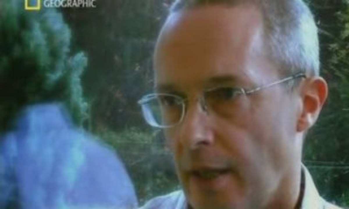 Frappe Par La Foudre 3/4