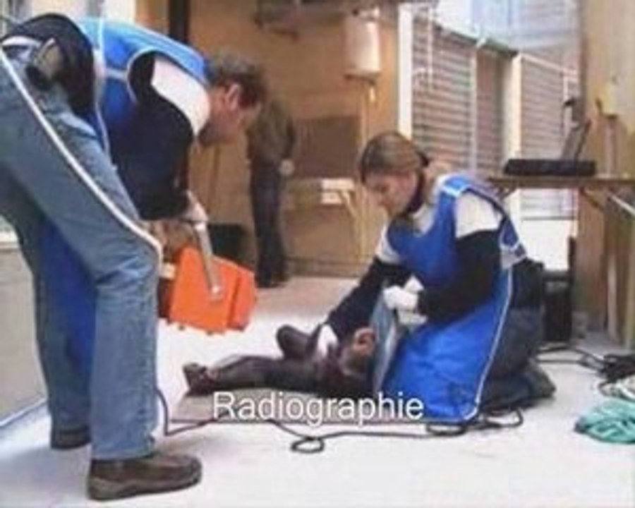 Déménagement des chimpanzés 1