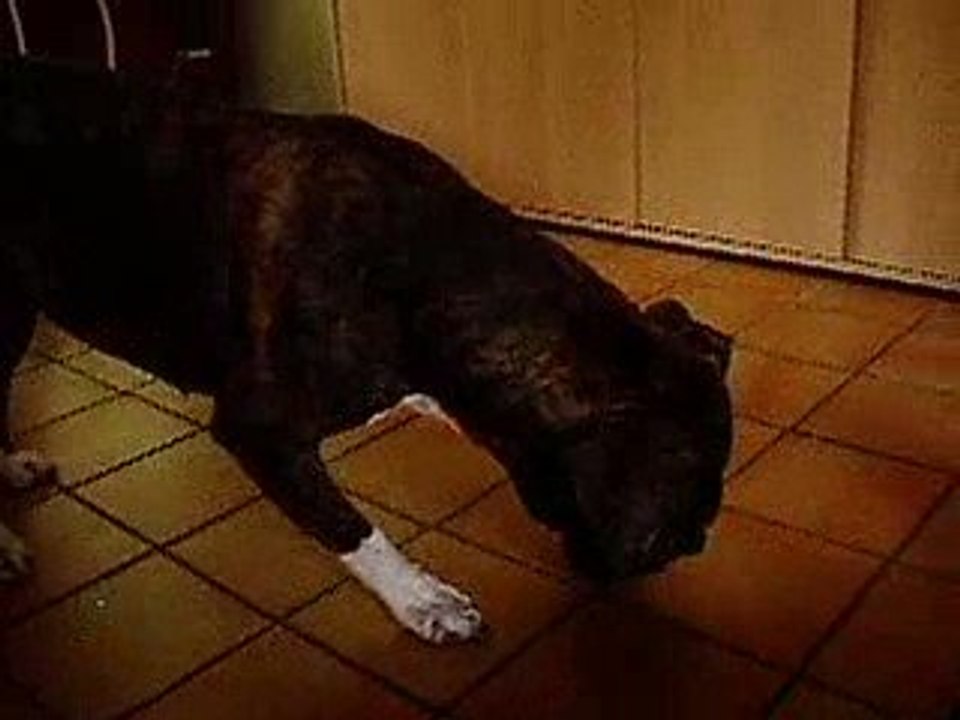 Naya et le KOng ( avec le bOut de frOmage dedans lOl )