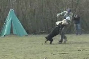 calamity of devil inside