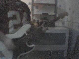 Bass Cover - Blink 182 - What My Age Again Live