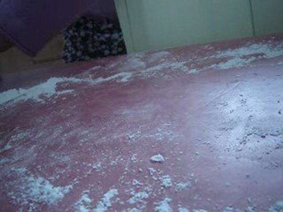 baguettes aux graines de tournesol