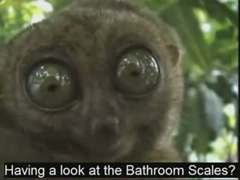 Acai Edge Full On Review