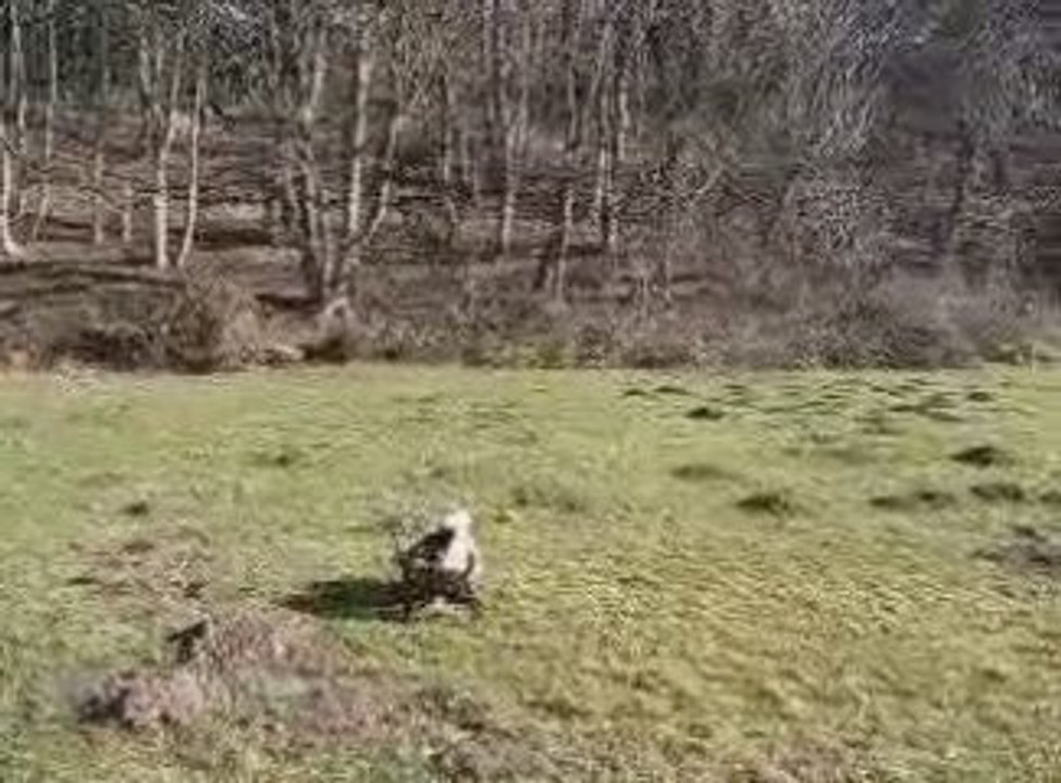 Playingatcrimdon