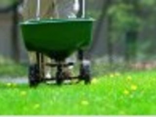 How to grow a green lawn organically