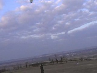 MOV01D